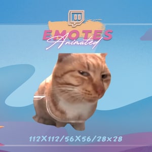 MR FRESH Meme - Meme Emote | Emote streamen | Meme-Emote | Kawaii-GIF