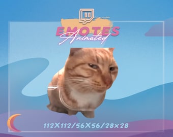 MR FRESH Cat Meme Emote: Animated Twitch/Discord Stream Emote (Digital Download)