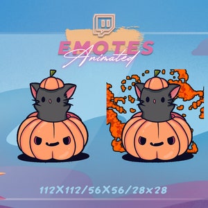 Pumpkin Twitch Emote - Animated Halloween Emote | Jack-o-Lanters Emote | Black Cat Emote | Streamers Emote