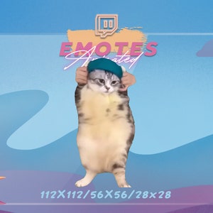 Oye, oye, tú, gato - Gesto de meme / Gesto de transmisión / Gesto de meme / GIF Kawaii