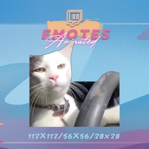 CAT rijdende auto MEME - Meme Emote | Stream-emote | Meme-emote | Kawaii-GIF