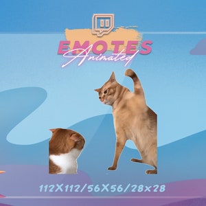 CAT slaat kat op hoofd MEME - Meme Emote | Stream-emote | Meme-emote | Kawaii-GIF