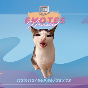 CRUNCHY Cat MEME - Meme-emote | Stream-emote | Meme-emote | Kawaii-GIF