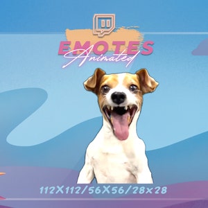 LAUGHING DOG - Dog Meme Emote | Stream Emote | Meme Emote | Kawaii GIF
