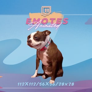 MEME CANE che piange - Emote meme / Emote streaming / Emote meme / GIF Kawaii