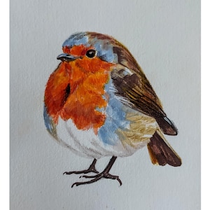 Watercolor Robin Art Print: Nature Wall Decor (Digital Download A4 A5 Sizes)