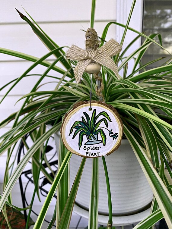Plant Name Tags / Plant Decor Etsy