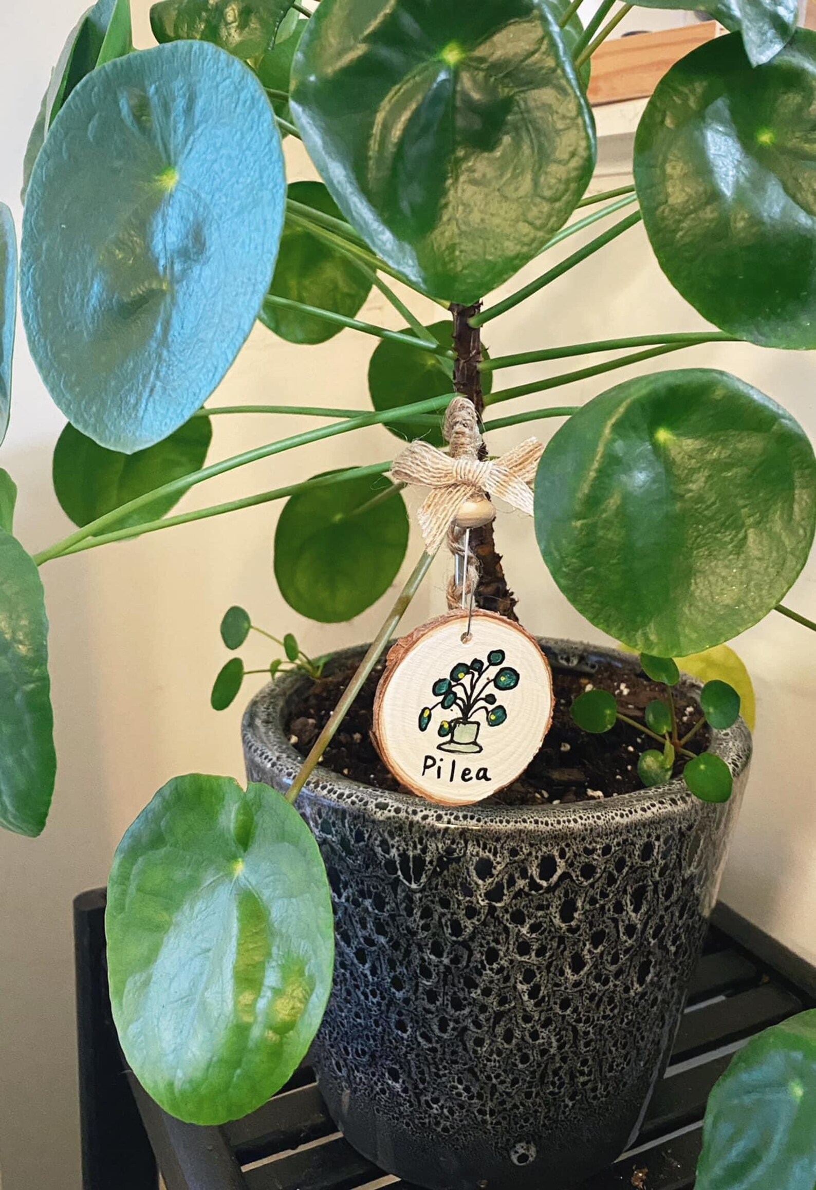 Plant Name Tags / Plant Decor Etsy