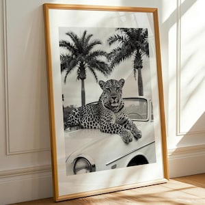 May include: Monochrome framed print of a leopard on a classic car bonnet, with palm trees in the background. The print is presented in a wooden frame.