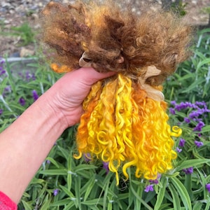 7-8&quot; Curly Hand Dyed Teeswater Wool Locks, 1oz, SUNFLOWER, Yellow and  Brown, Separated, Felting, Weaving, Spinning, Doll Hair, Fiber Arts