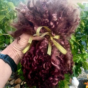 Hand Dyed Teeswater Wool Locks: Chocolate Brown, 7-8&quot; for Spinning, Felting, Weaving - 1oz