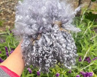 1oz Silver Grey Short Teeswater Wool Locks, 6-7", GRAY MIST, Hand Dyed, Curly, Separated, Felting, Weaving, Spinning, Doll Hair, Fiber Arts