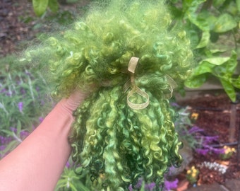 Curly Teeswater Wool Locks, Hand Dyed Green, 1oz, 7-8" long, FOREST, Separated, for Felting, Weaving, Spinning, Doll Hair, Fiber Arts