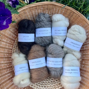 Wool Sampler, Breed Discovery Collection, Natural Colors, Wet or Needle Felting, Spinning, Weaving, Art Batts, Dyeing, Fiber Arts, 25g each