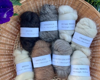 Natural Wool Fiber Sampler, Breed Discovery Collection- for Felting, Spinning - 8oz
