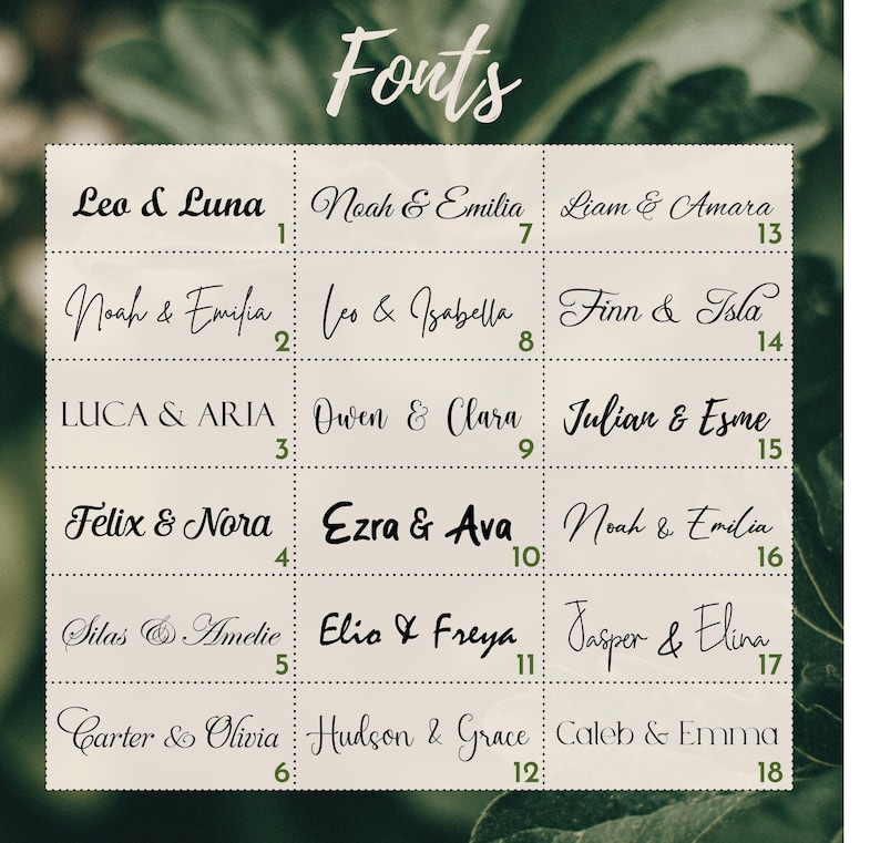 May include: A grid of font samples with names in various styles. The word "Fonts" is at the top. Names include Leo & Luna, Noah & Emilia, Liam & Amara, and others. The background is a blurred green.