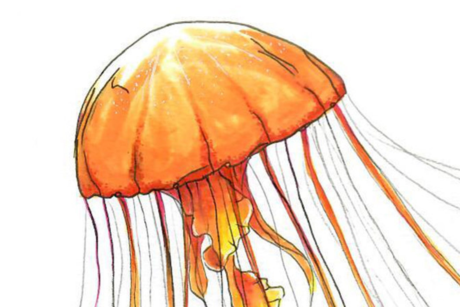 Decorazione Murale In Ferro Minimalista - Scultura A Forma Di Volto Per Soggiorno, Camera O Ufficio