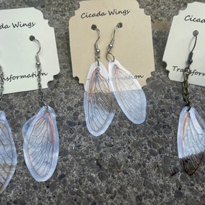 Cicada Wing Earrings
