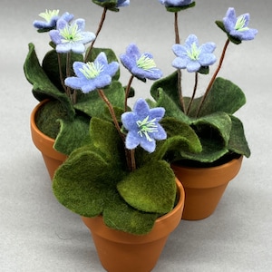 May include: Three potted felt flower arrangements with blue flowers and green leaves. The flowers are in terracotta pots.