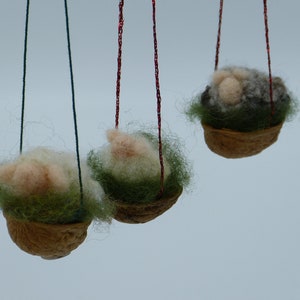 Könnte beinhalten: Drei kleine Filztierfiguren hängen an der Decke in Walnussschalen. Jede Schale ist mit grünem Filz gefüllt und die Tiere sind weiß, grau und rosa.