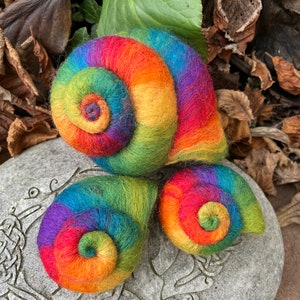 Rainbow snail