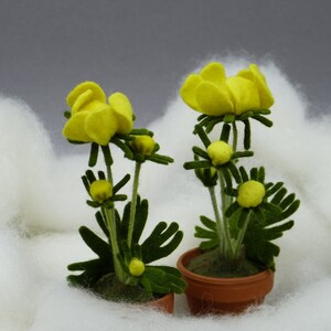 Könnte beinhalten: Zwei kleine Topfpflanzen mit gelben Filzblumen und grünen Filzblättern. Die Pflanzen stehen auf einer weißen, flauschigen Oberfläche.