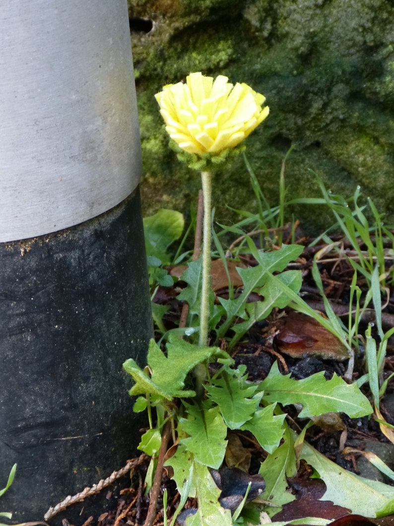 Dandelion made of felt Löwenzahn mit Blatt