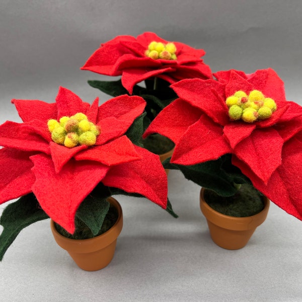 Weihnachtsstern, Poinsettia, aus Filz