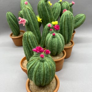Cactus van vilt