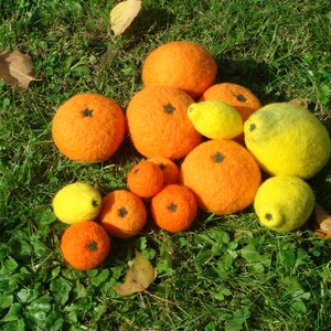 Könnte beinhalten: Eine Sammlung von Filzfrüchten, darunter Orangen, Zitronen und Limetten, die auf einem Bett aus grünem Gras angeordnet sind. Die Früchte sind in verschiedenen Farben, darunter Orange, Gelb und Grün.