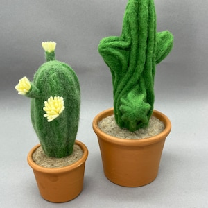 Felt cactus