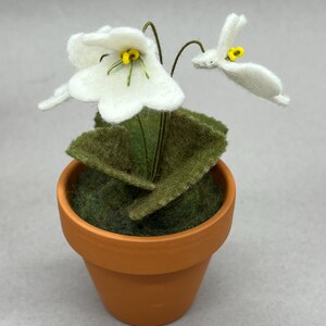 以下が含まれることがあります： 小さなテラコッタの鉢に入った、手作りのフェルトフラワーアレンジメント。白い花は黄色の中心部と緑の茎と葉を持っています。鉢は緑の苔で満たされています。魅力的で装飾的な作品です。