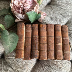 Oeuvres de Moliere: Antique Leather-Bound Book Set, 1784
