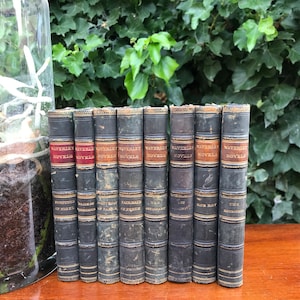 Ensemble de 8 romans anciens de Waverley de Sir Walter Scott avec reliure en cuir et carton, bandes en relief et détails dorés. Idéal pour la décoration ou la lecture