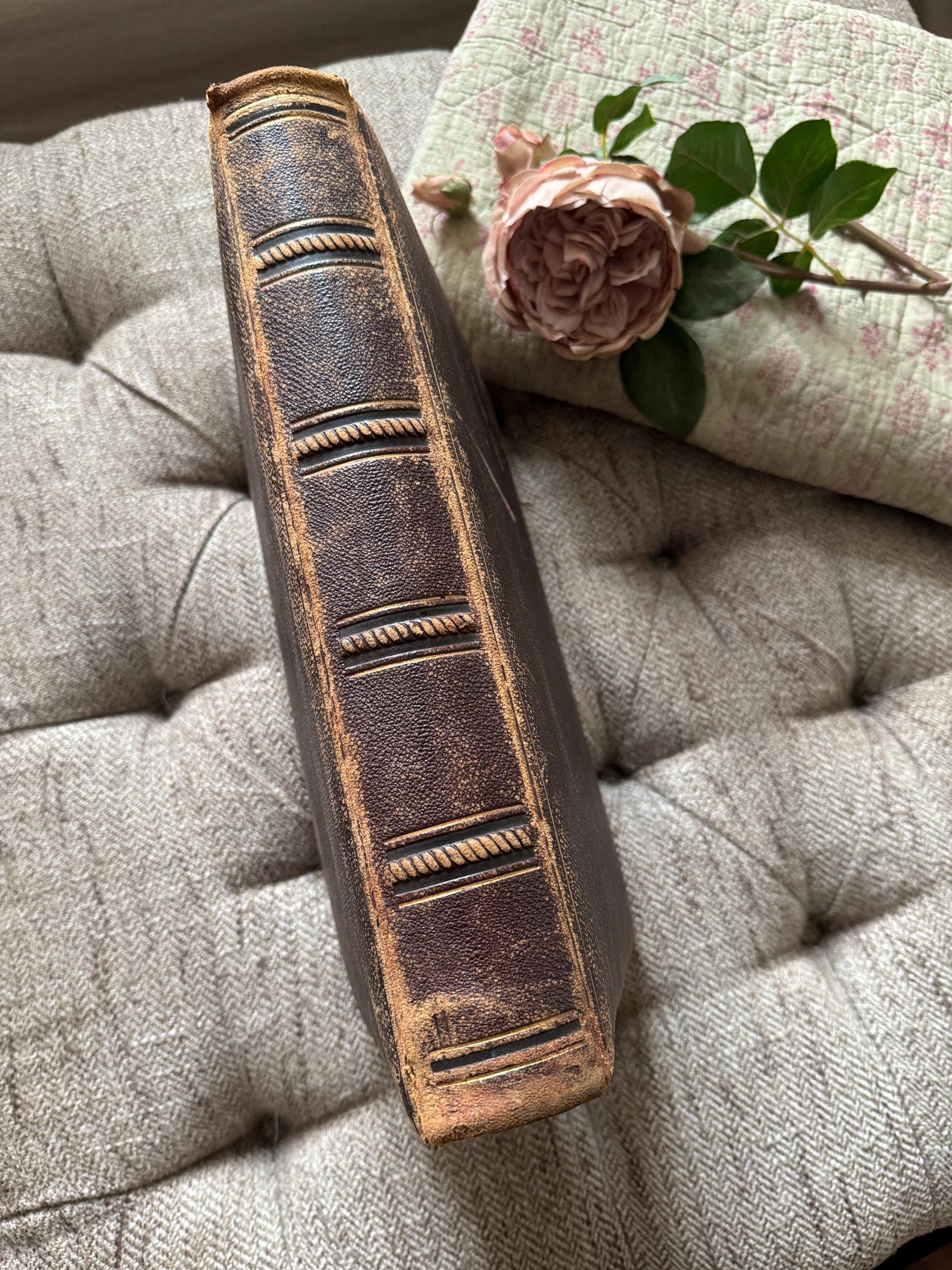 Victorian Scrapbook: Antique Brown Leather Album with Sepia Prints