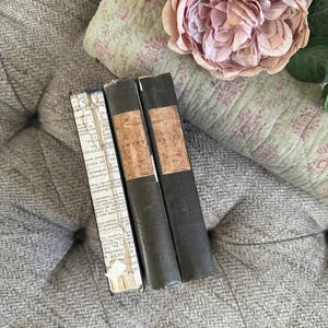 Die poetischen Werke vonJonathan Swift. Die Aldine Edition der British Poets 1833. Erste Ausgabe in Originalverpackung. Viktorianisch