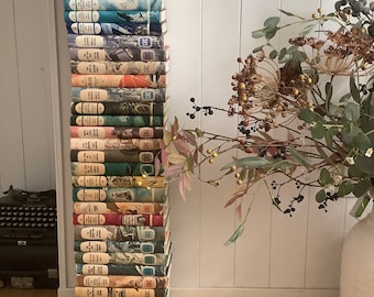 1 Meter Companion Book Club-Romane aus den 1960er Jahren in ihren originalen bunten Schutzumschlägen. 39 Vintage-Bücher in tollem Zustand. Lesen oder anzeigen.