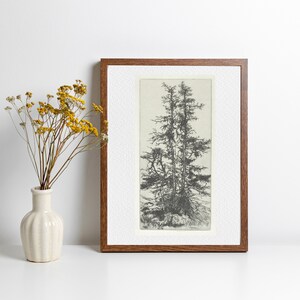 Landscape Sketch, Vintage Etching, Tree Sketch, Vintage Botanical Prints, Minimalist Drawing PRINTABLE #5