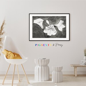 Flower Wall Art Print Amaryllis, Neutral Flower Drawing, Floral Prints, Botanical Wall Art Black and White PRINTABLE #32