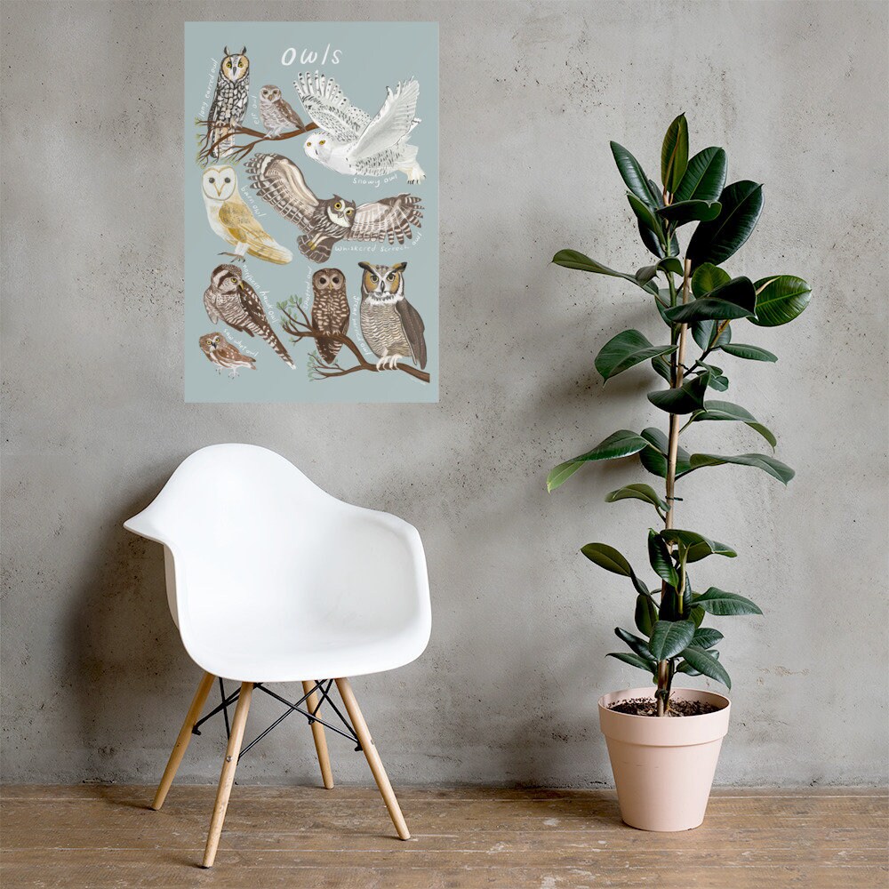 Owls Field Guide Poster, Owls of North America Wall Art, Types of Owls ...