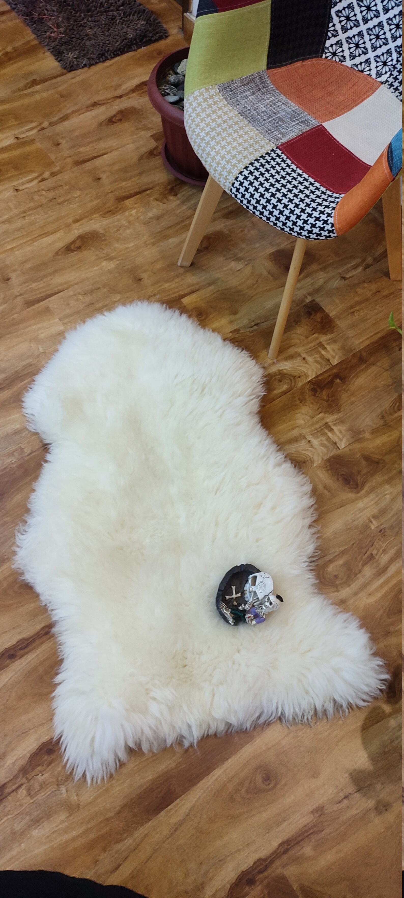 100 Genuine Sheepskin rug White Ivory 2x3 ft Real Sheep skin Etsy