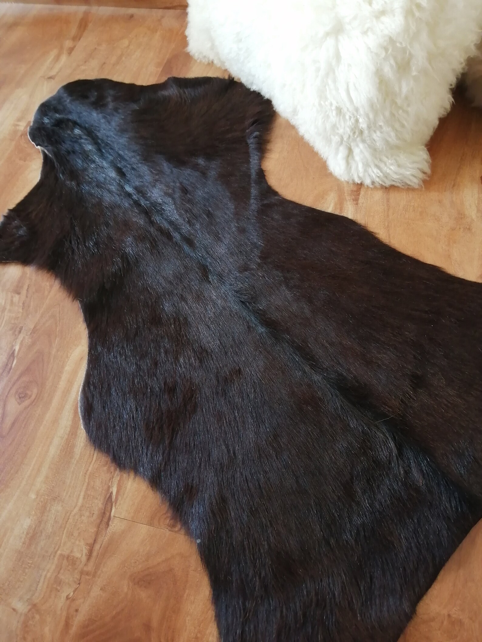 Goat Hide Rug Natural Black Goat Skin area rug Animal Hair Etsy