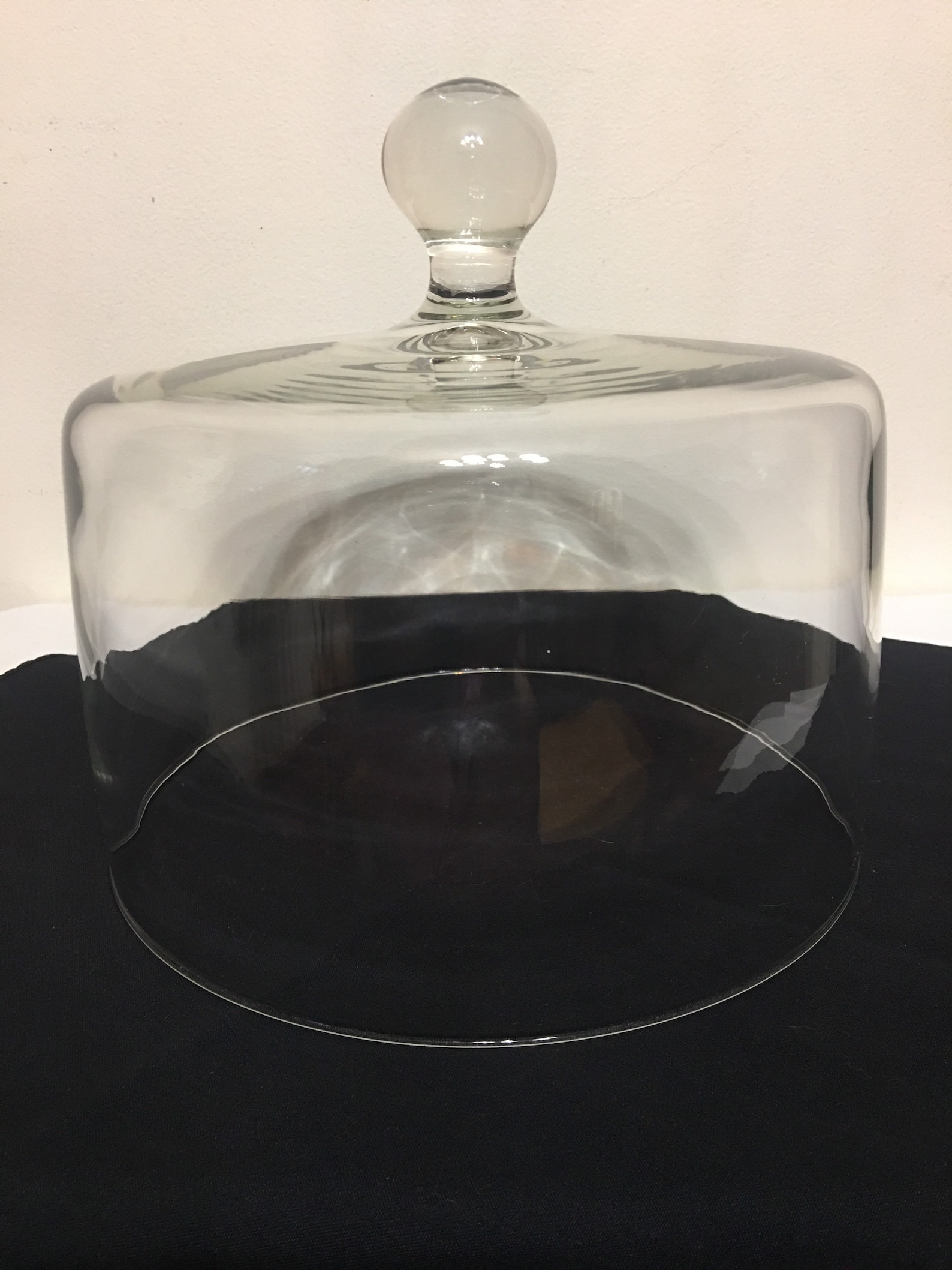 Aazon.co | Galashield Glass Cake Doe, Cake Cover Lid For Freshness