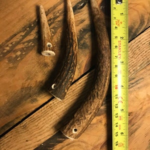 May include: Three antler pieces with holes drilled through them. The antler pieces are different sizes and shapes. A yellow measuring tape is in the background.