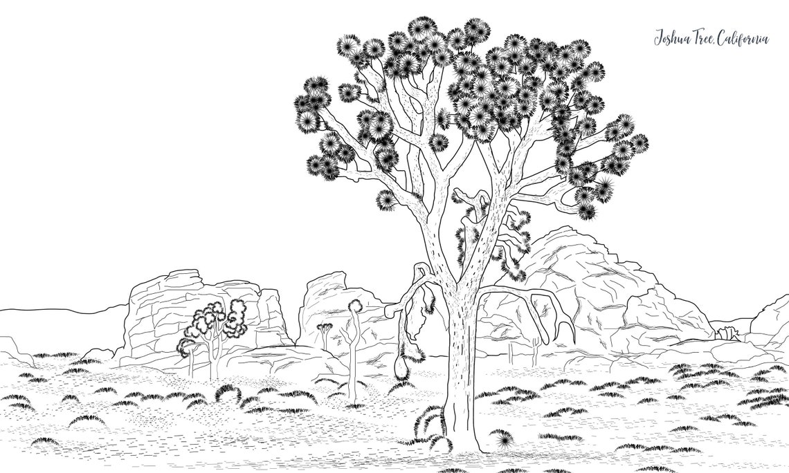 Joshua Tree Coloring Page - Etsy