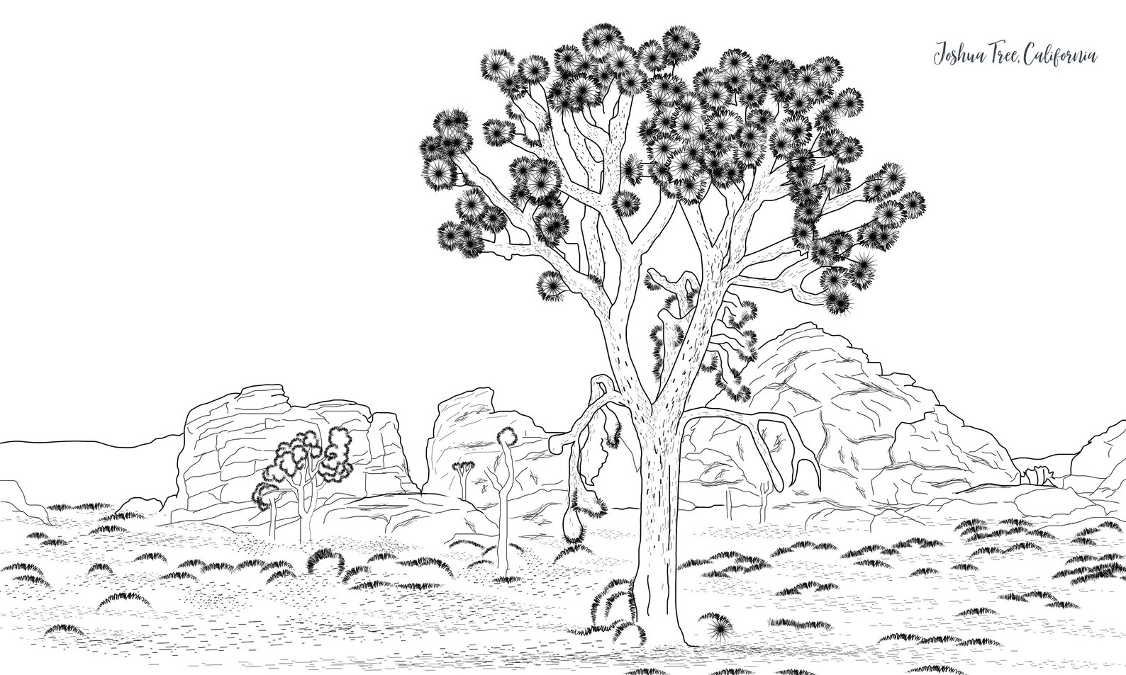 Joshua Tree Coloring Pages Coloring Pages