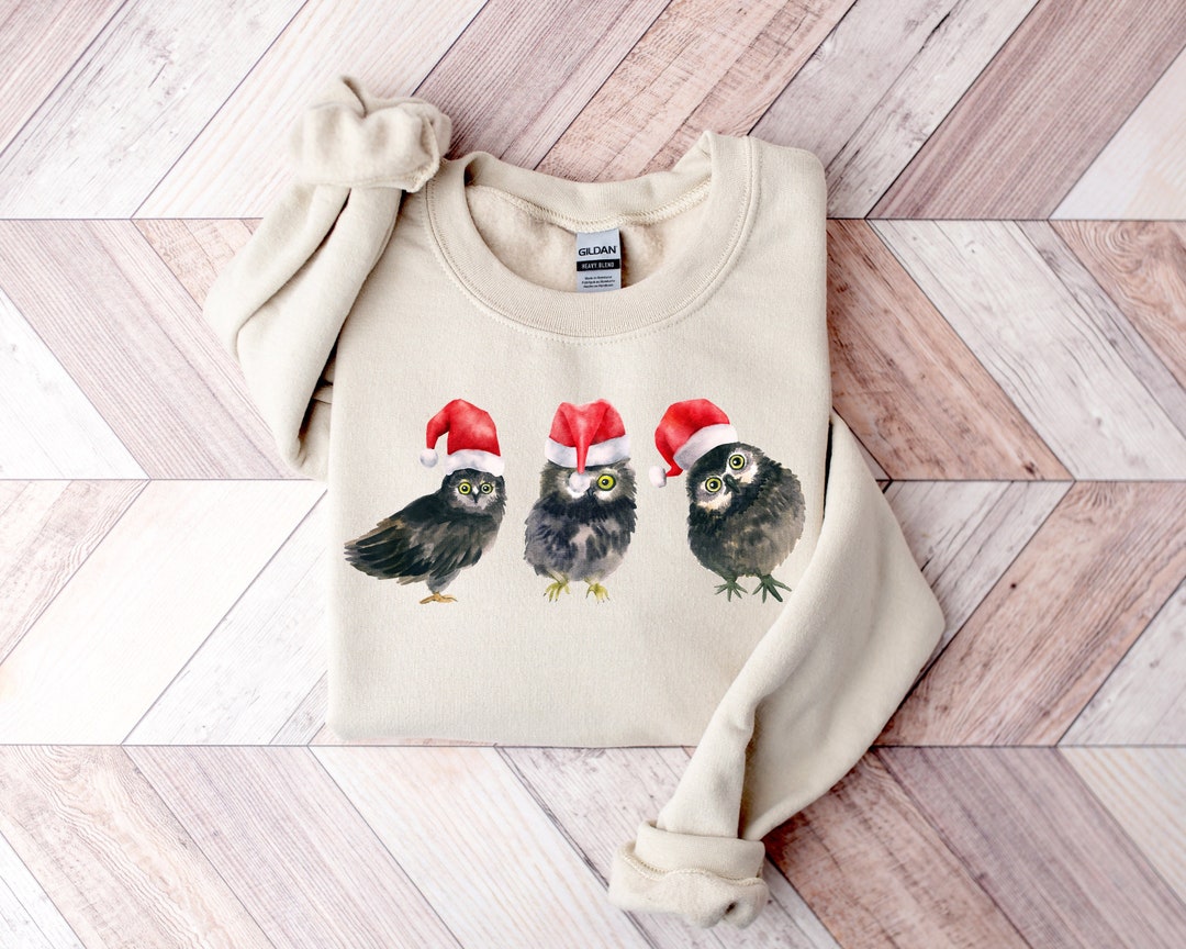 Christmas Sweatshirt,funny Owls Sweatshirt,watercolor Graphic Tee,owl