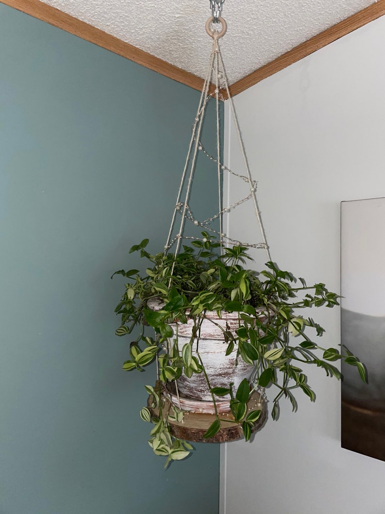 Wood Cookie Plant Hanger