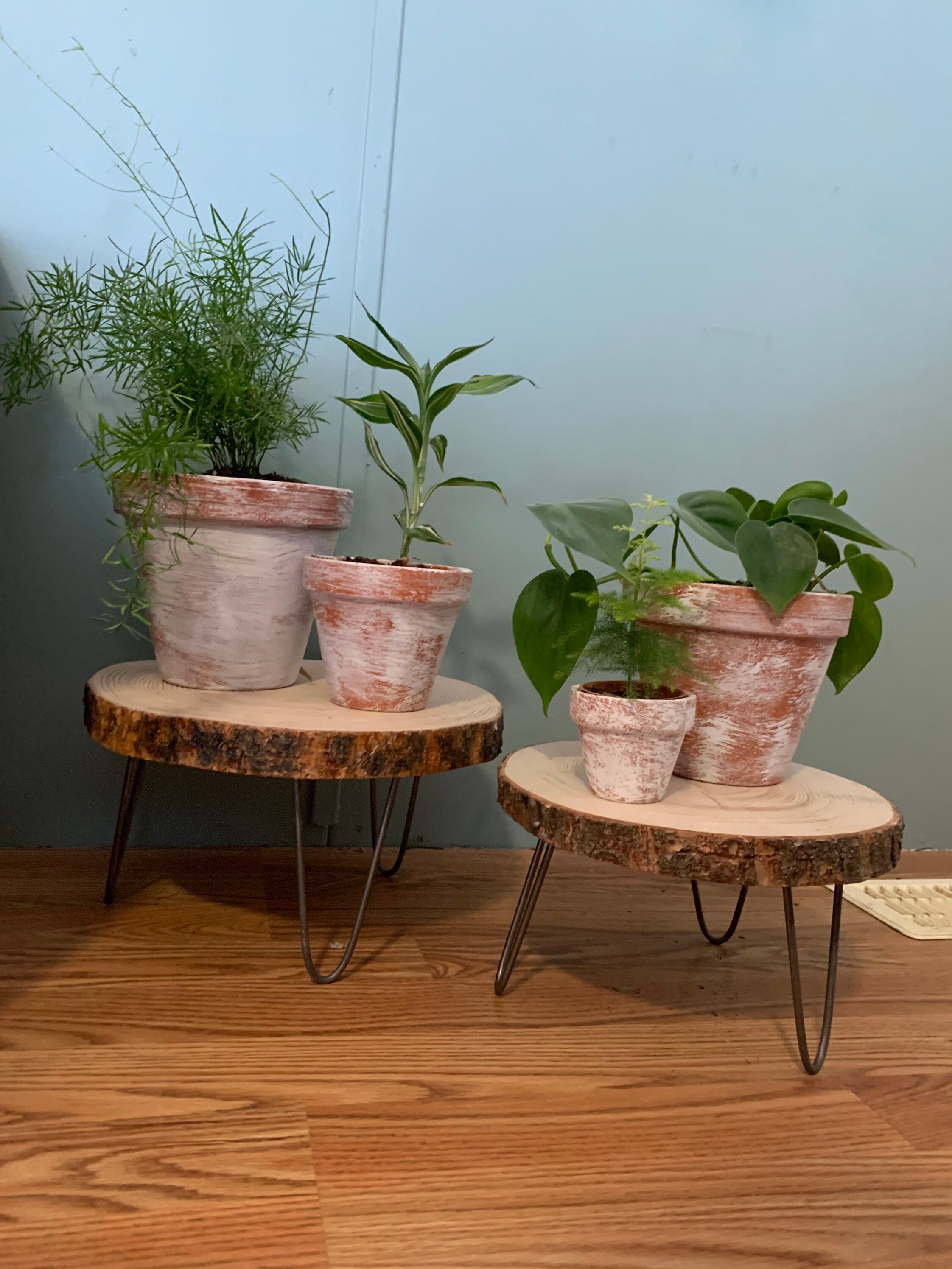 Custom Pine Plant Stands Etsy