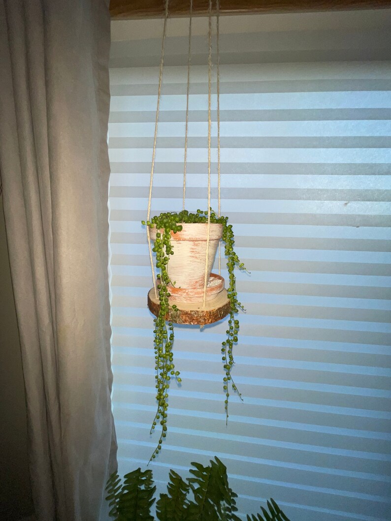 Wood Cookie Plant Hanger